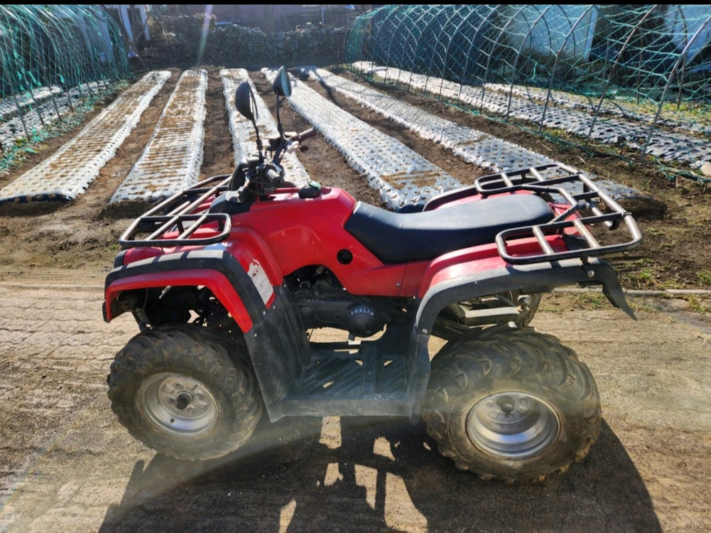 4륜 ATV 올코트125 이미지