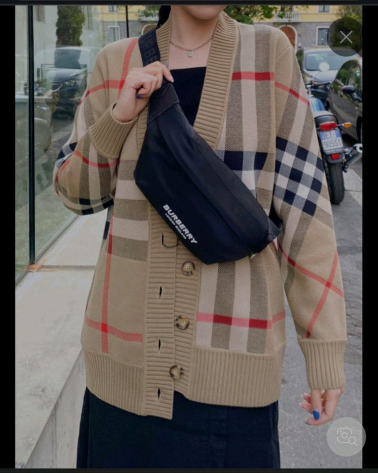 버버리 힙색 벨트백크로스백숄더백테수토호보백가방백팩구찌루이비통디올샤넬생로랑셀린느에르메스버버리로로피아나델보 이미지