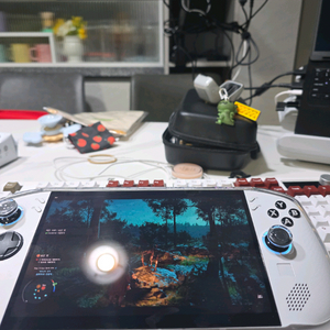 리전고s 2tb 팝니다. 이미지