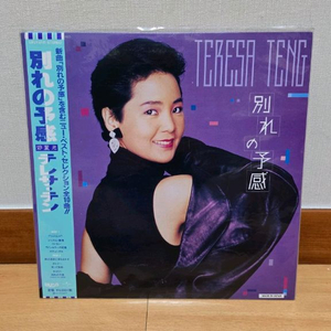 등려군 일본 발매 lp 이별의 예감 이미지