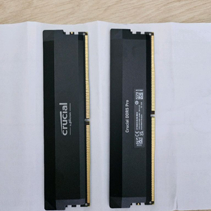마이크론 Crucial DDR5-6400 CL38 PRO Overclocking (32GB) 이미지