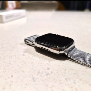 애플워치7 스테인리스 셀룰러 45mm 이미지