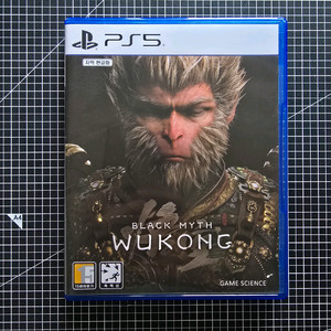 PS5 검은신화 오공 이미지