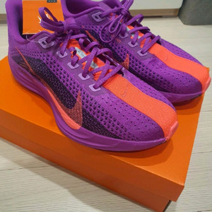 나이키 페가수스 플러스 265mm 새제품 이미지