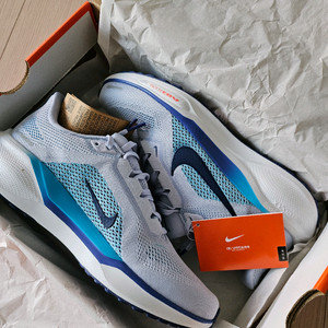 나이키 에어 줌 페가수스 41 255mm 새제품 런닝화 이미지