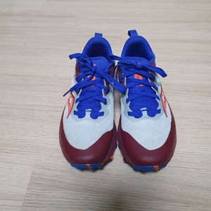 여성 써코니 페레그린 14 트레일 러닝화 245 이미지