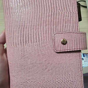 애쉬포드 네오피나드 바이블사이즈 다이어리 (파일로팩스, 다빈치 로로마 *서치용단어*) 이미지