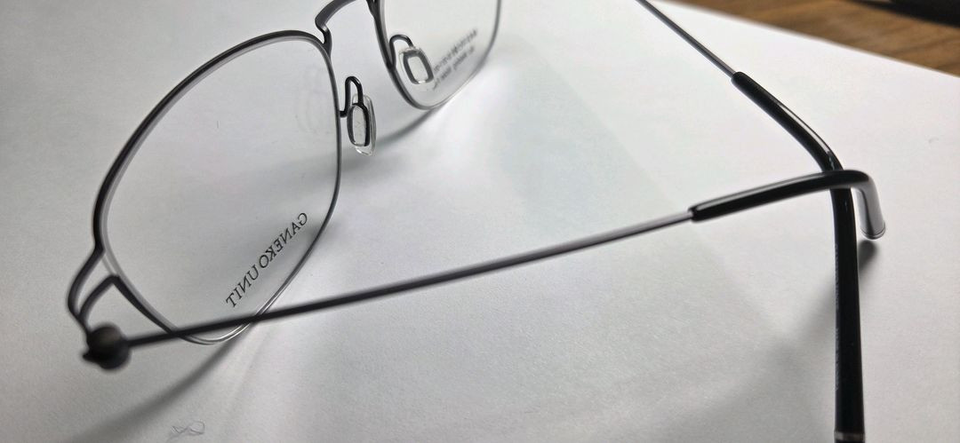 새것)안경테(가네코 유닛 /정가 23만원/깃털테/선글라스 젠틀몬스터x) 이미지