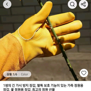 새상품 가시방지 팔뚝보호 가죽 정원 장갑 XL 이미지