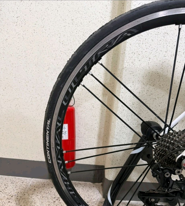 자전거. 로드바이크. 트리곤 RSL 카본 + 캄파놀로 샤말 울트라 휠셋 판매(프레임 사이즈 52) 이미지