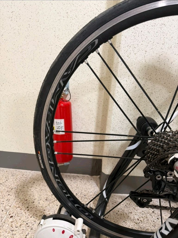 자전거. 로드바이크. 트리곤 RSL 카본 + 캄파놀로 샤말 울트라 휠셋 판매(프레임 사이즈 52) 이미지