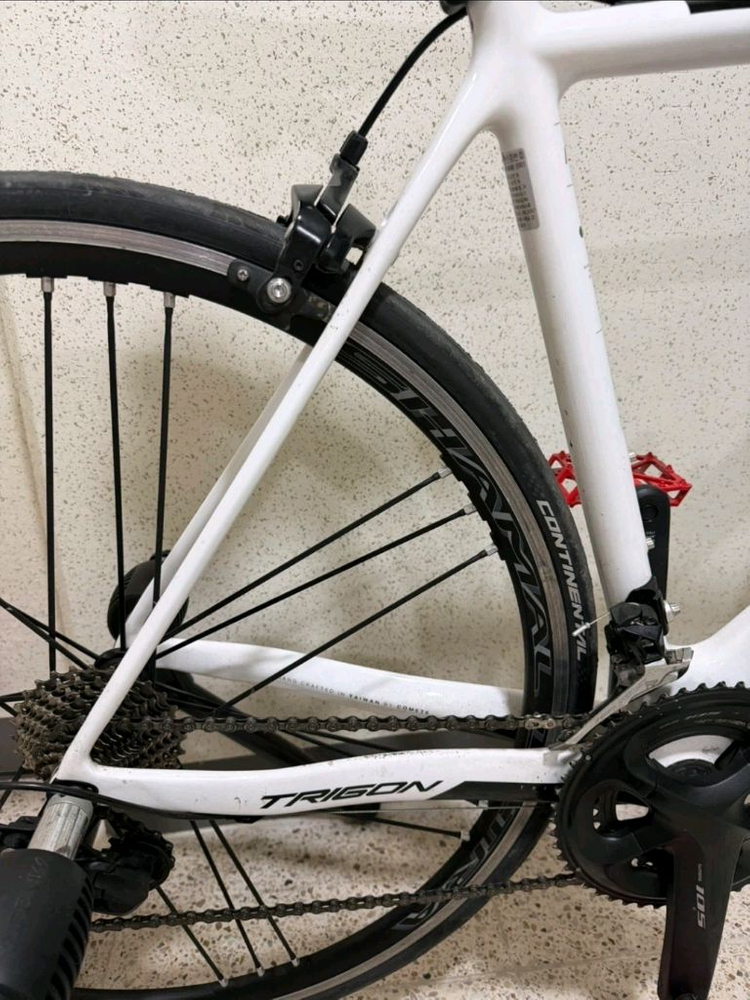 자전거. 로드바이크. 트리곤 RSL 카본 + 캄파놀로 샤말 울트라 휠셋 판매(프레임 사이즈 52) 이미지