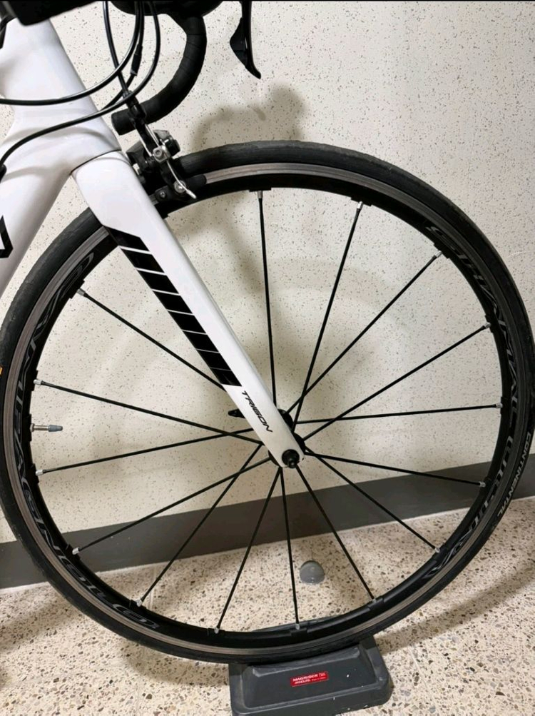 자전거. 로드바이크. 트리곤 RSL 카본 + 캄파놀로 샤말 울트라 휠셋 판매(프레임 사이즈 52) 이미지