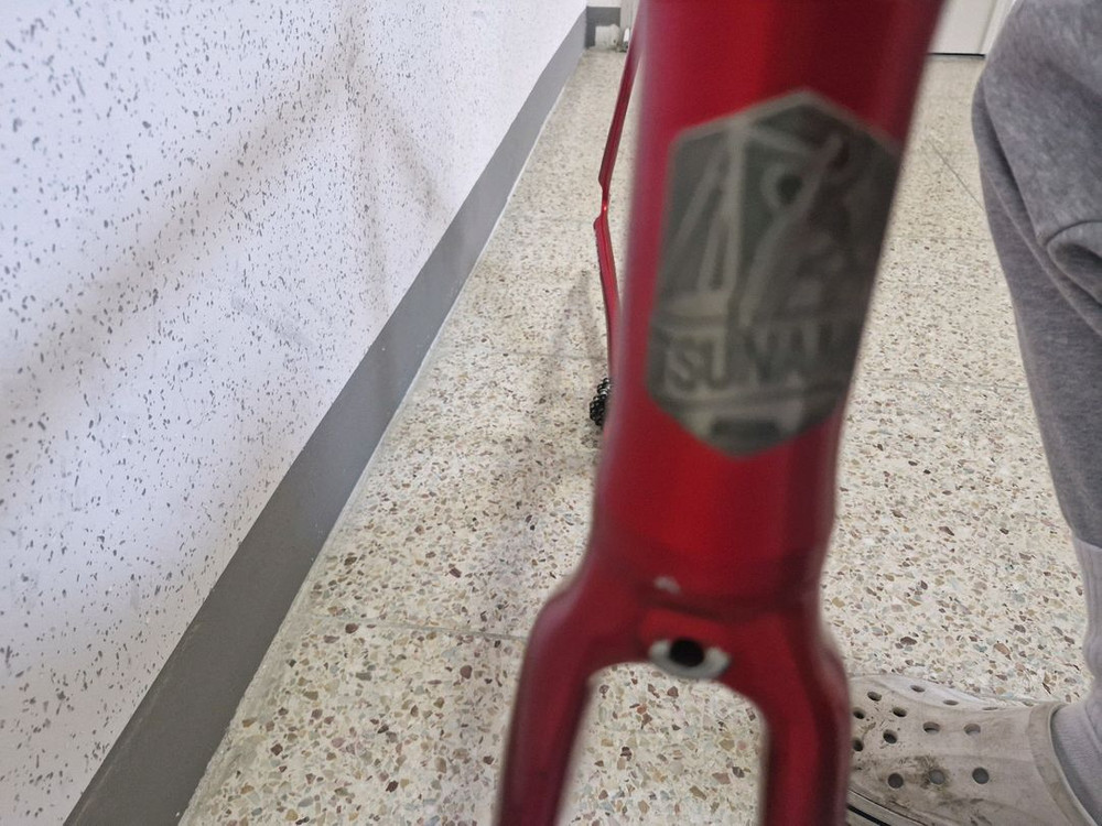 쓰나미 레드와인 급처 이미지