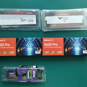 16GB 32GB 64GB DDR5 3200 4800 5600 메모리 램 미개봉 이미지