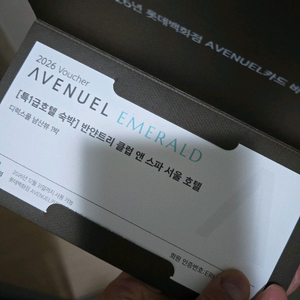 반얀트리 클럽 앤 스파 서울 디럭스 풀 룸 숙박권 이미지