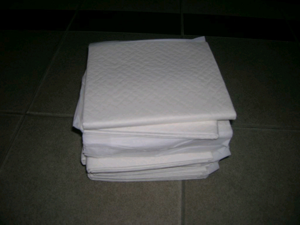 연어 사료, 배변 패드 10장, 스킨케어 샴푸 이미지