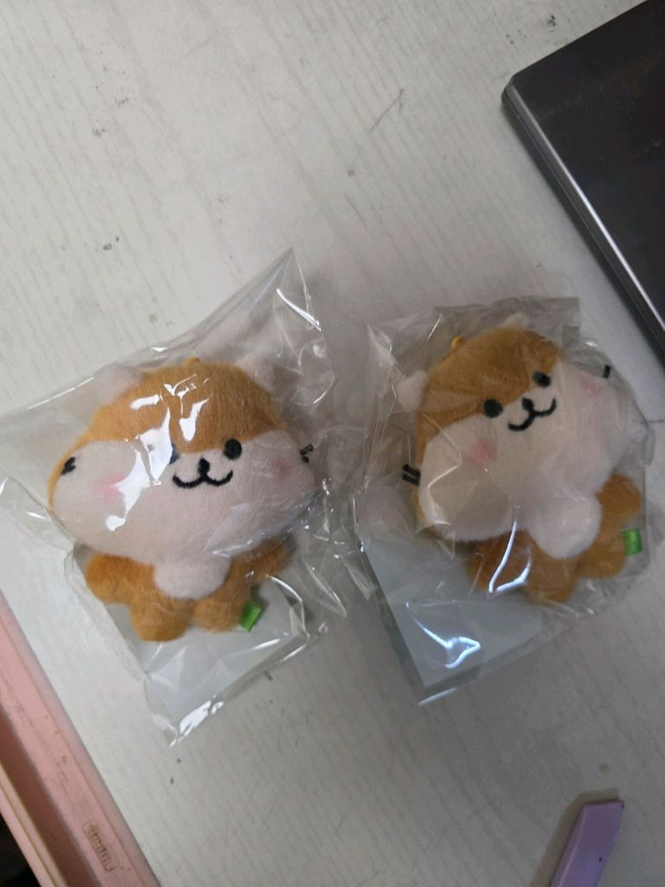 프로미스나인 굿즈 일괄 판매합니다 이미지