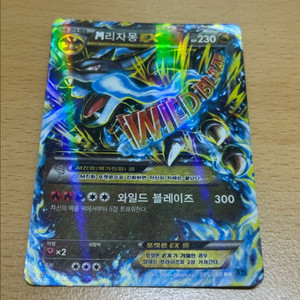 포켓몬스터 XY 카드 M리자몽 EX 이미지