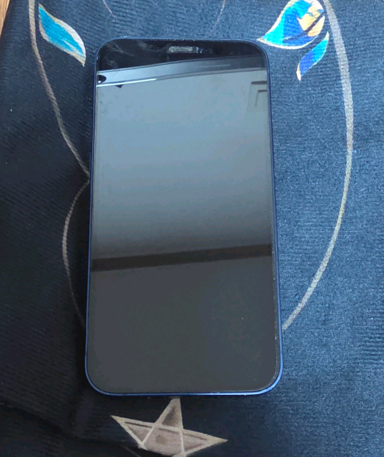 아이폰 12미니 256GB 블루 이미지