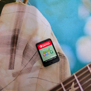 닌텐도 스위치 모여봐요 동물의 숲 게임칩 이미지