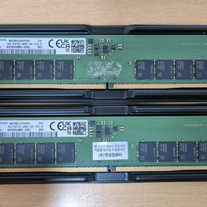 삼성 DDR5 32GB ( 16GB x2) 램 이미지