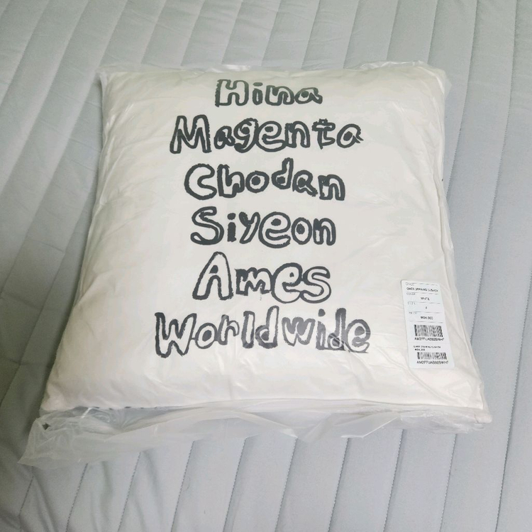 QWER 아메스 쿠션(화이트) [한정판] 이미지