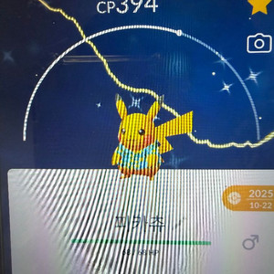 포켓몬고 피카츄 코스튬 이로치 (제주도) 이미지