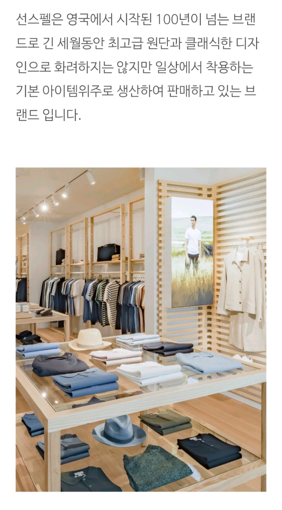 선스펠 코튼 니트 L 로로피아나,브루넬로,에르메스,타임옴므 이미지