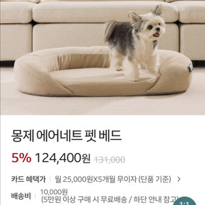 몽제 에어네트 펫 베드(미개봉) 강아지 방석 이미지