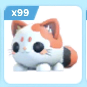 입양하세요 모찌냥 이미지