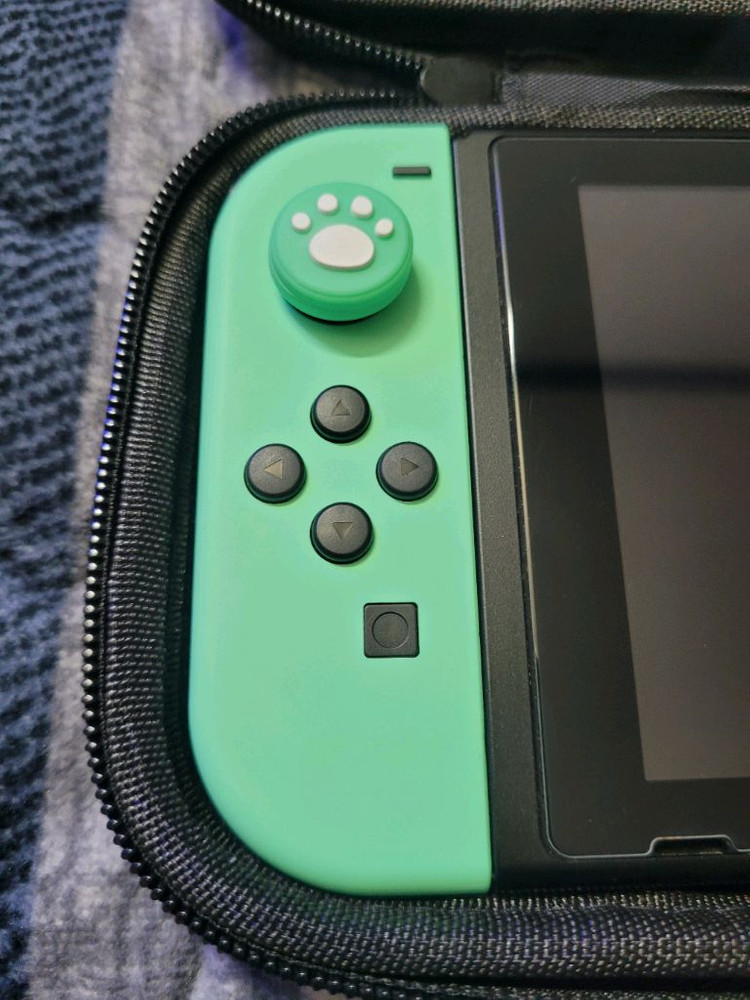 닌텐도 스위치 동물의숲 에디션 + 게임 이미지