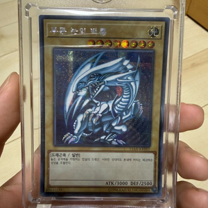 푸른 눈의 백룡 팝니다. 원피스 카드 3장은 덤으로 드립니다. 이미지