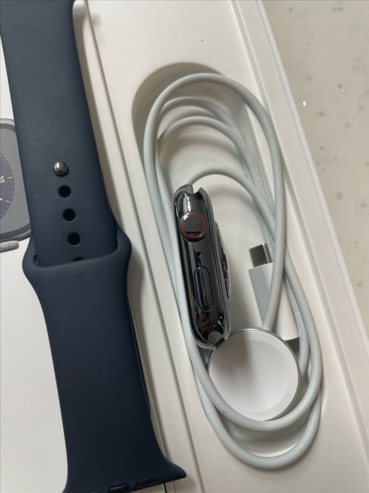 애플워치8스테인리스 45mm 그래파이트 SSS급 이미지