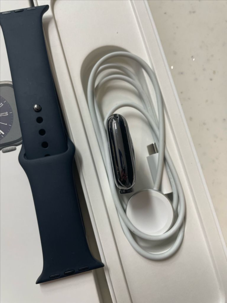 애플워치8스테인리스 45mm 그래파이트 SSS급 이미지