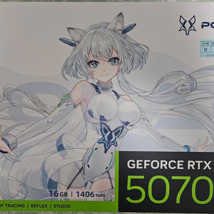 MANLI 지포스 RTX 5070 Ti Polar Fox OC D7 16GB 대원씨티에스 이미지