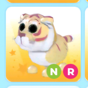 입양하세요 루나 황색 호랑이 이미지