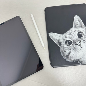 아이패드 프로 11인치 1세대 셀룰러 이미지