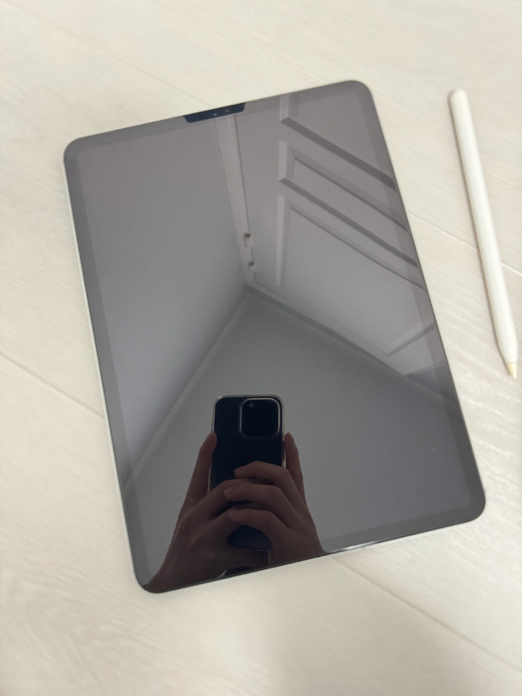 아이패드 프로 11인치 1세대 셀룰러 이미지