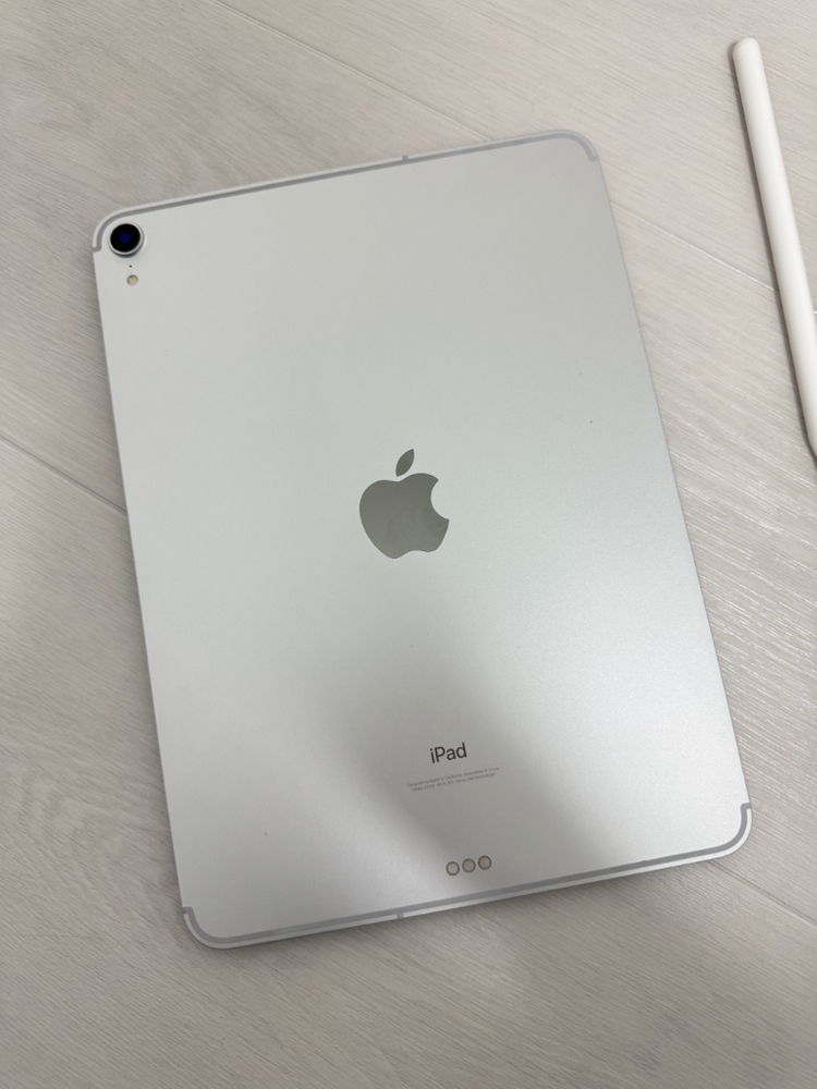 아이패드 프로 11인치 1세대 셀룰러 이미지