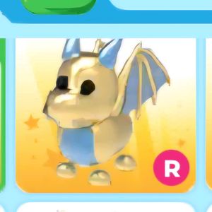 입양하세요 골드 드래곤 이미지