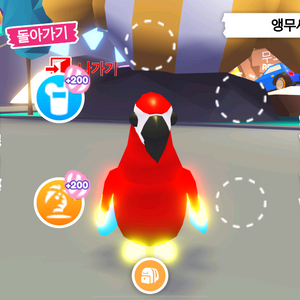 입양하세요 네온fr앵무새 이미지