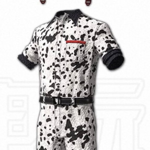 배그 점박이 헬멧 옷 스킨 세트 코드 이미지