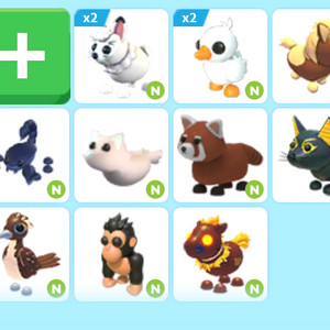 입양하세요 네온펫들 팔아요 이미지