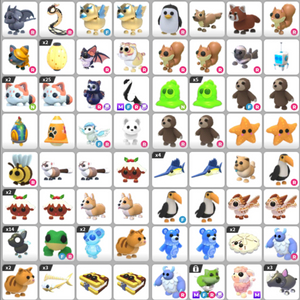 입양하세요 펫 이미지