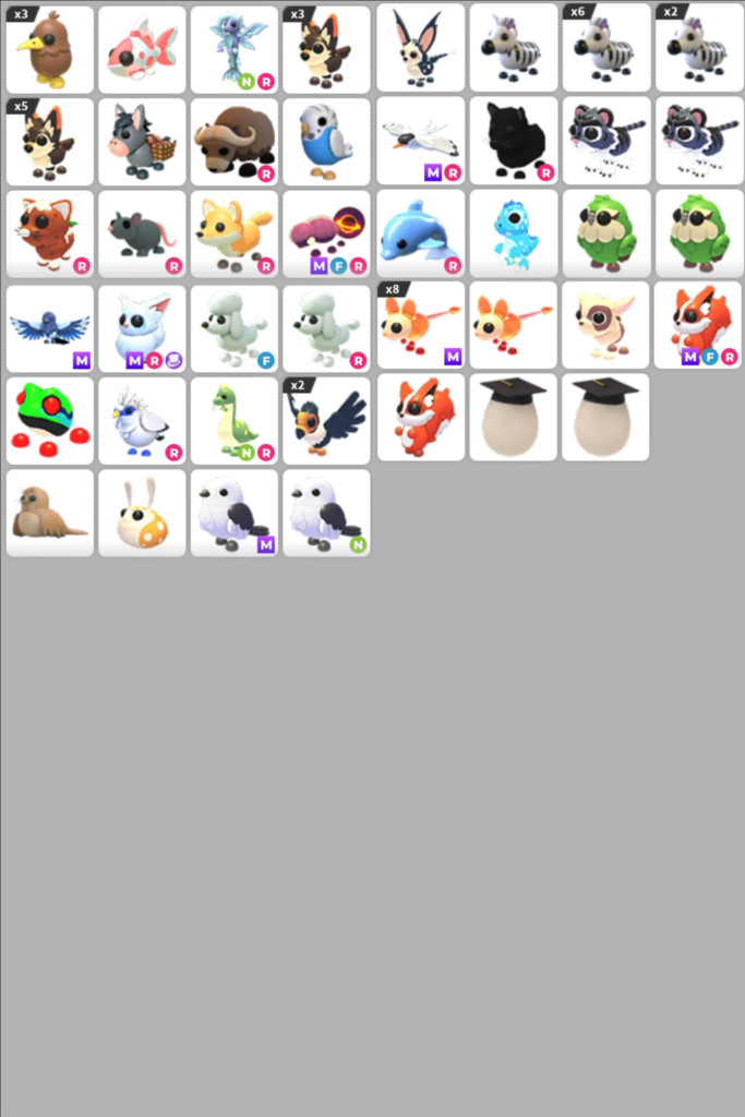 입양하세요 펫 이미지