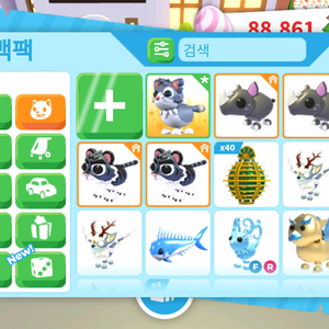 입양하세요 길고양이 팝니다!!! 이미지