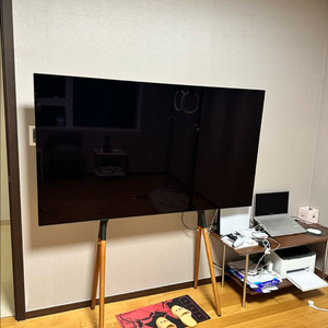 LG 65인치 OLED TV 이미지