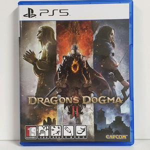 ps5 드래곤즈 도그마 2 이미지