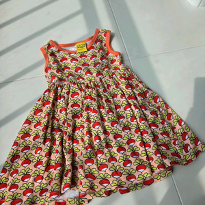 던스 주황 순무 게더 92 이미지